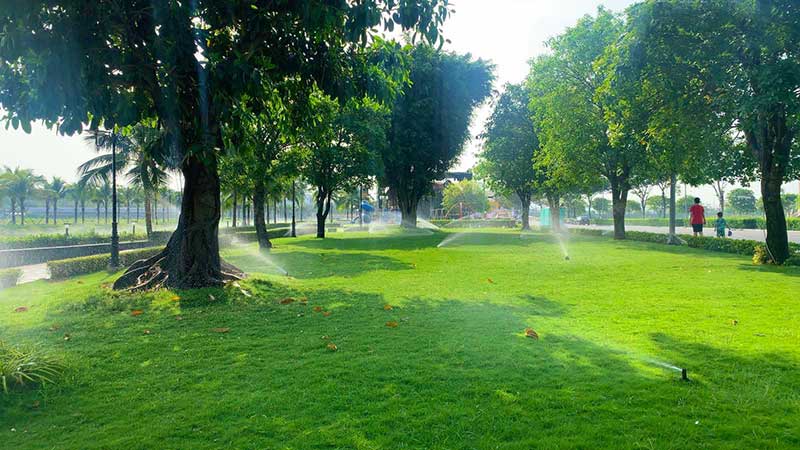 Vạn Phúc City dọn dẹp đón xuân tại công viên sông sài gòn